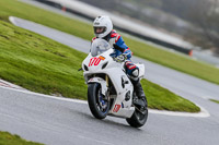 Oulton-Park-14th-March-2020;PJ-Motorsport-Photography-2020;anglesey;brands-hatch;cadwell-park;croft;donington-park;enduro-digital-images;event-digital-images;eventdigitalimages;mallory;no-limits;oulton-park;peter-wileman-photography;racing-digital-images;silverstone;snetterton;trackday-digital-images;trackday-photos;vmcc-banbury-run;welsh-2-day-enduro